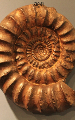 ଯନ୍ତ୍ରଣା