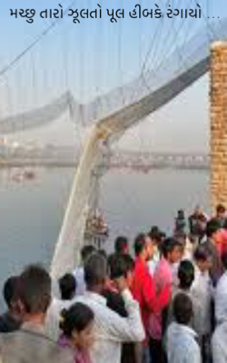 મચ્છુ તારો ઝૂલતો પુલ હીબકે રંગાયો