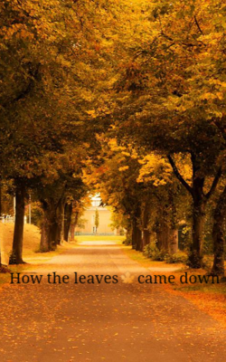 How the leaves came down