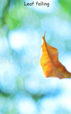 Leaf Falling