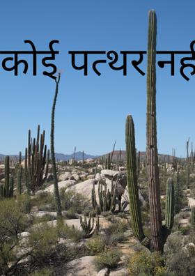 कोई पत्थर नहीं