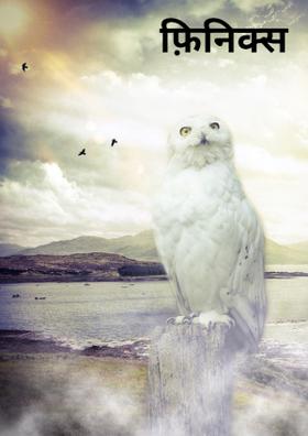 फ़िनिक्स