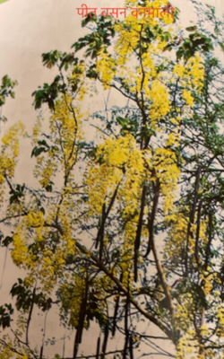 पीत वसन वनमाली