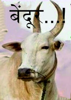 बेंदूर...!