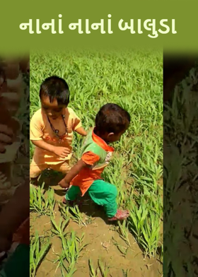 નાનાં નાનાં બાલુડા