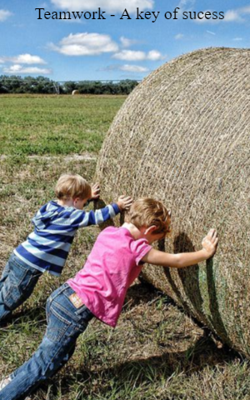 Teamwork - A key of sucess