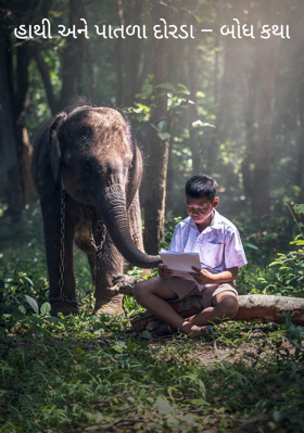 હાથી અને પાતળા દોરડા