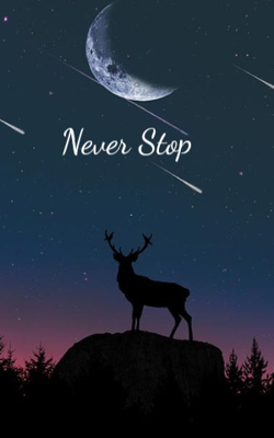 Never Stop