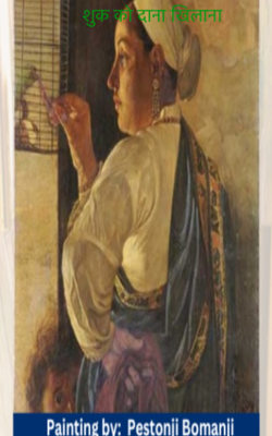 शुक को दाना खिलाना