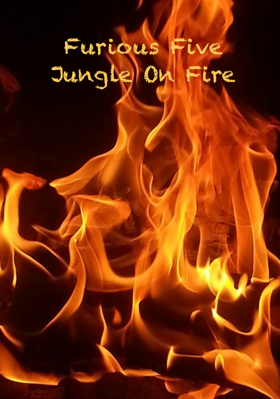 Furious Five Jungle On Fire