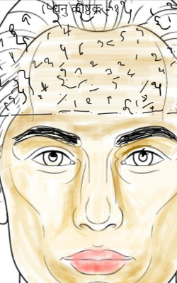 धनु कोष्ठक - १