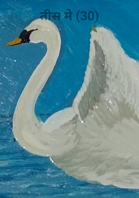 तीस मे (30)