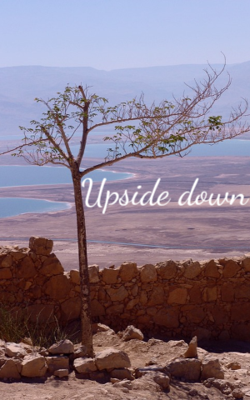 Upside Down