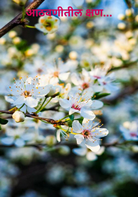 आठवणीतील क्षण...