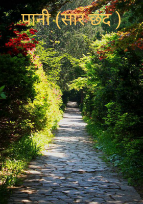 पानी (सार छंद )