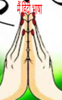 मैं हिंदी भाषा