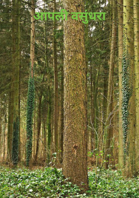 आपली वसुंधरा