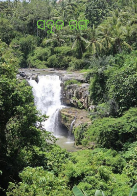 ସବୁଜ ରଙ୍ଗ