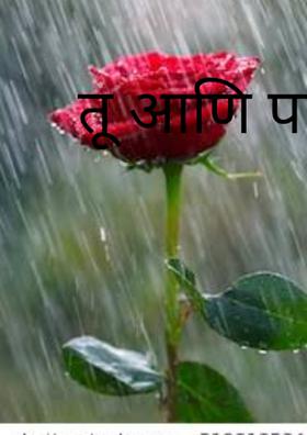 तू आणि पाऊस