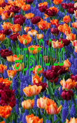 அந்த நிமிடம்