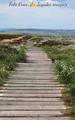 Fake Ones..✍️ Jayadev senapati 