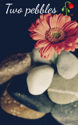 Two Pebbles