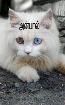 அன்பால்