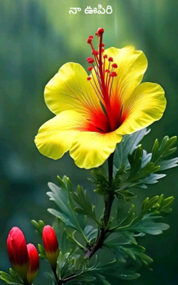 నా ఊపిరి