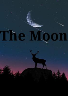 The Moon