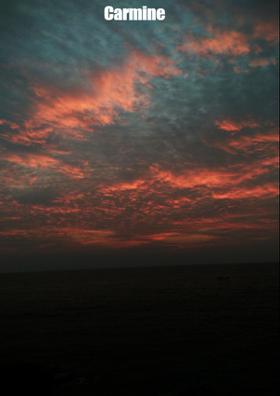 18.హ్యాండ్సప్