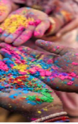 Holi Day