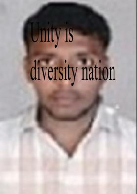 Unity Is Diversity Nation
