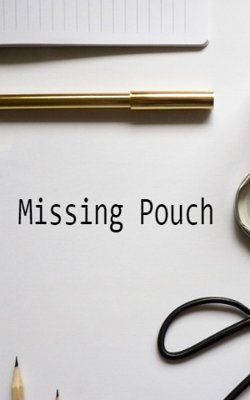Missing Pouch