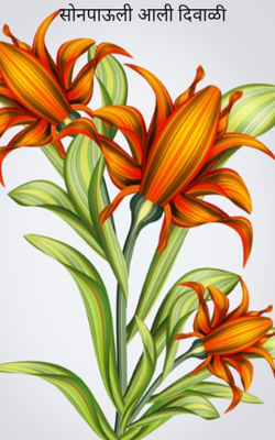 सोनपाऊली आली दिवाळी