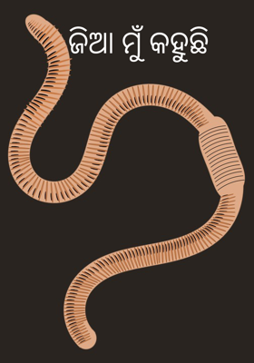 ଜିଆ ମୁଁ କହୁଛି 