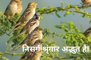  निसर्ग श्रृंगार अद्भुत हैI