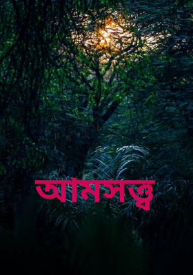 আমসত্ত্ব