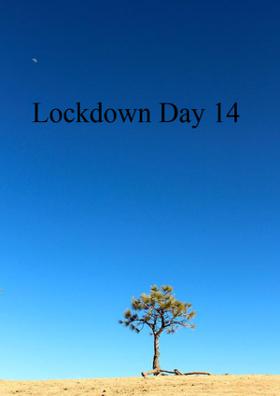 Lockdown Day 14