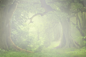 Perseverance is the key to success.
Never give up and keep making efforts.
It's often the last key in the bunch that opens the lock. 