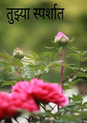 तुझ्या स्पर्शात