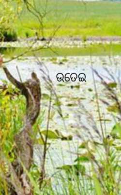 ଉତେଇ