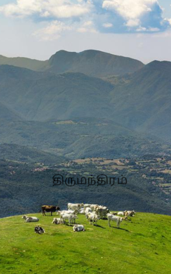 திருமந்திரம்