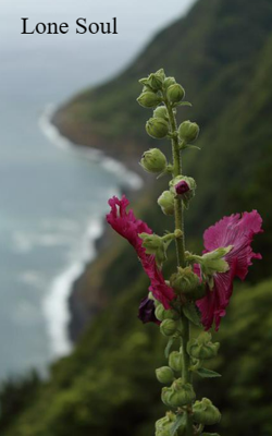 Lone Soul