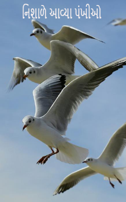 નિશાળે આવ્યા પંખીઓ