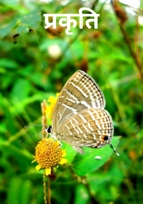 प्रकृति