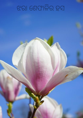 ଝରା ଶେଫାଳିର ହସ