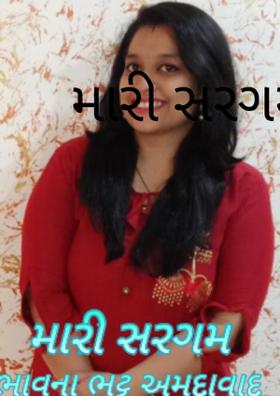 મારી સરગમ