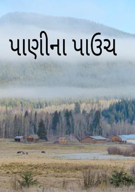 પાણીના પાઉચ