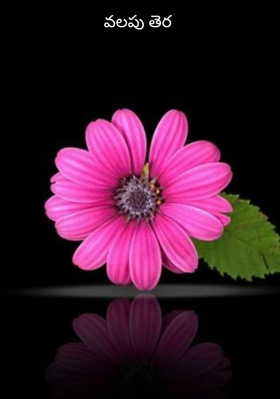 వలపు తెర