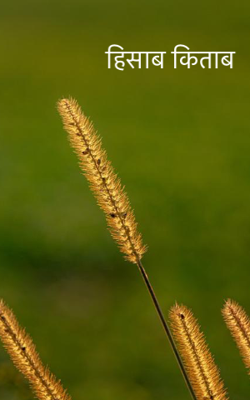 हिसाब किताब